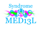 MED13L Logo